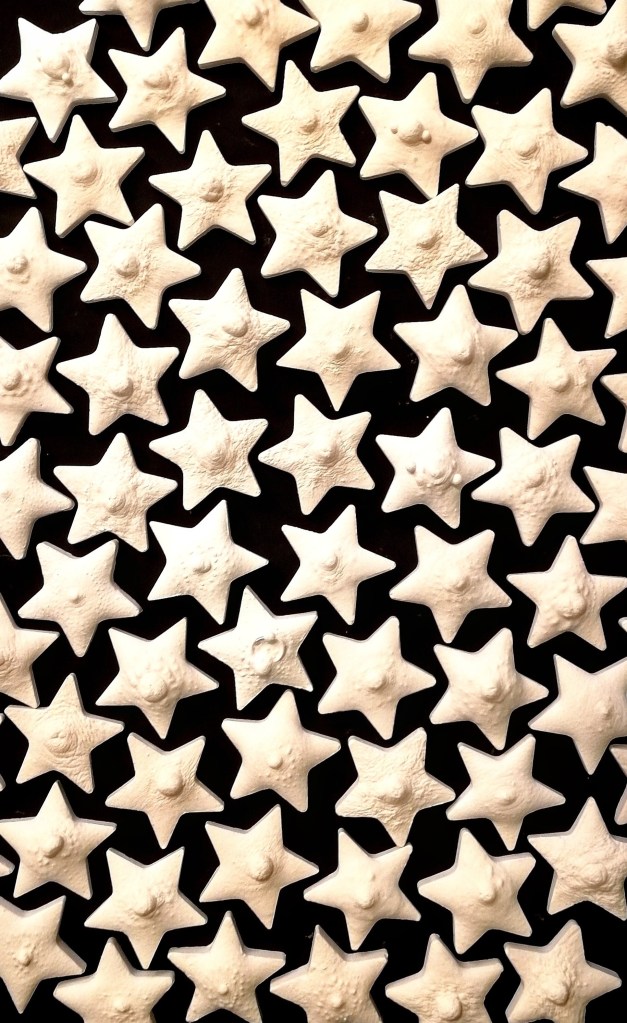 A photo of a group of the star shaped nipple casts.