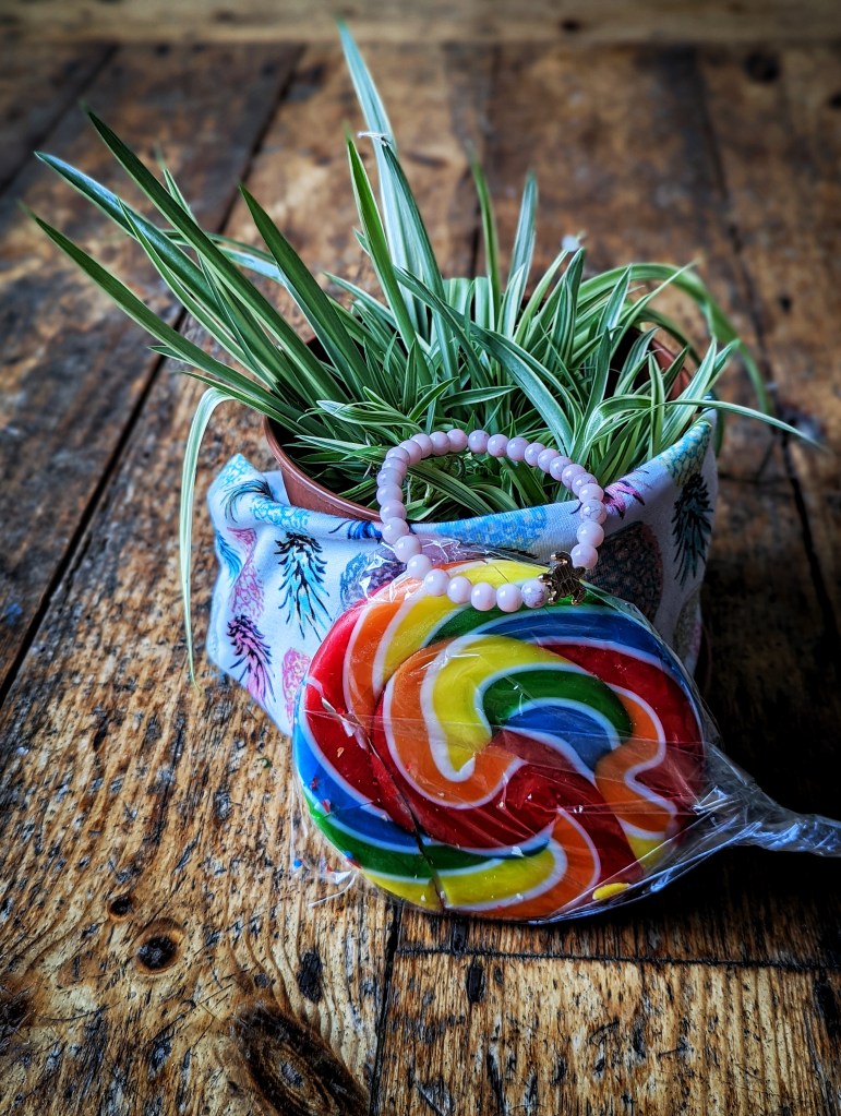 Eva's offerings to the project - a large multicoloured lollipop, a pink bracelet with a metal, turtle shaped clasp, a head band with pineapple patterns and a pot of spider plant babies.