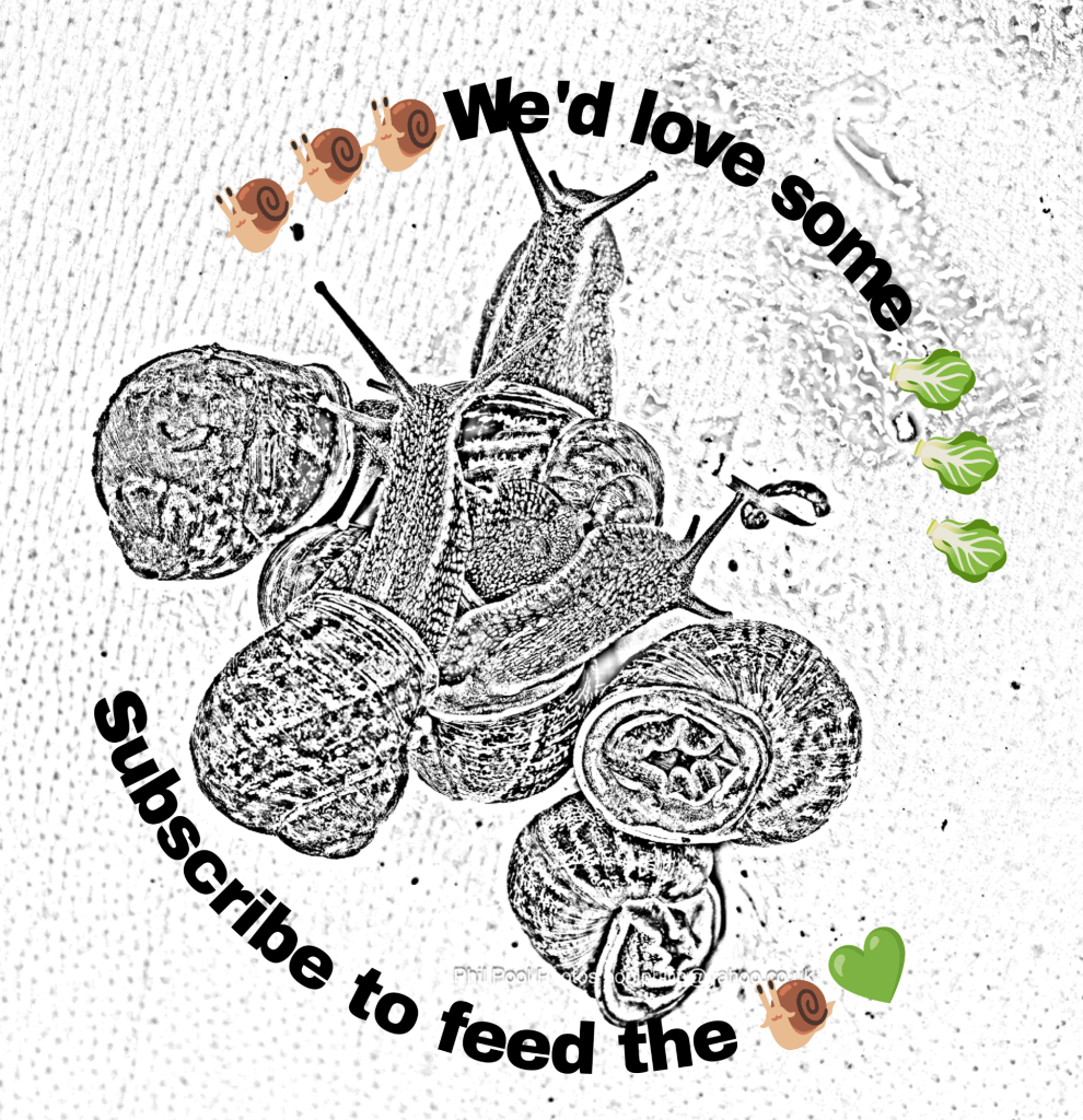 picsart_26-03-25_12-32-55-8434746716796765709251